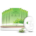 Tulsi Healing Sheet Mask Pack of 10