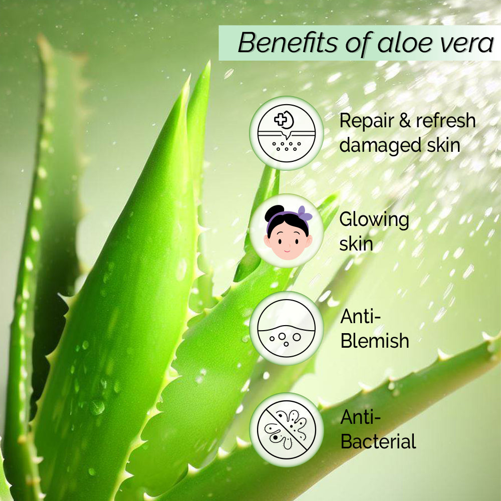 Aloe vera Face Mist Toner<h4> Soothes skin irritation and hydrates dry skin <h4> <h6> Alcohol Free, 100% natural, easy-to-use mist spray Aloe vera toner<h6>