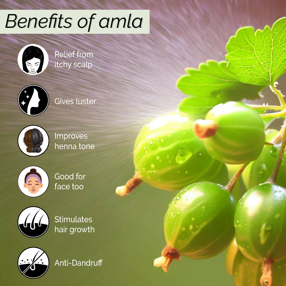 Amla Mist <h4>Relieves Itchy Scalp and Dandruff <h4> <h6> Non-greasy. No alcohol or preservatives added.<h6>