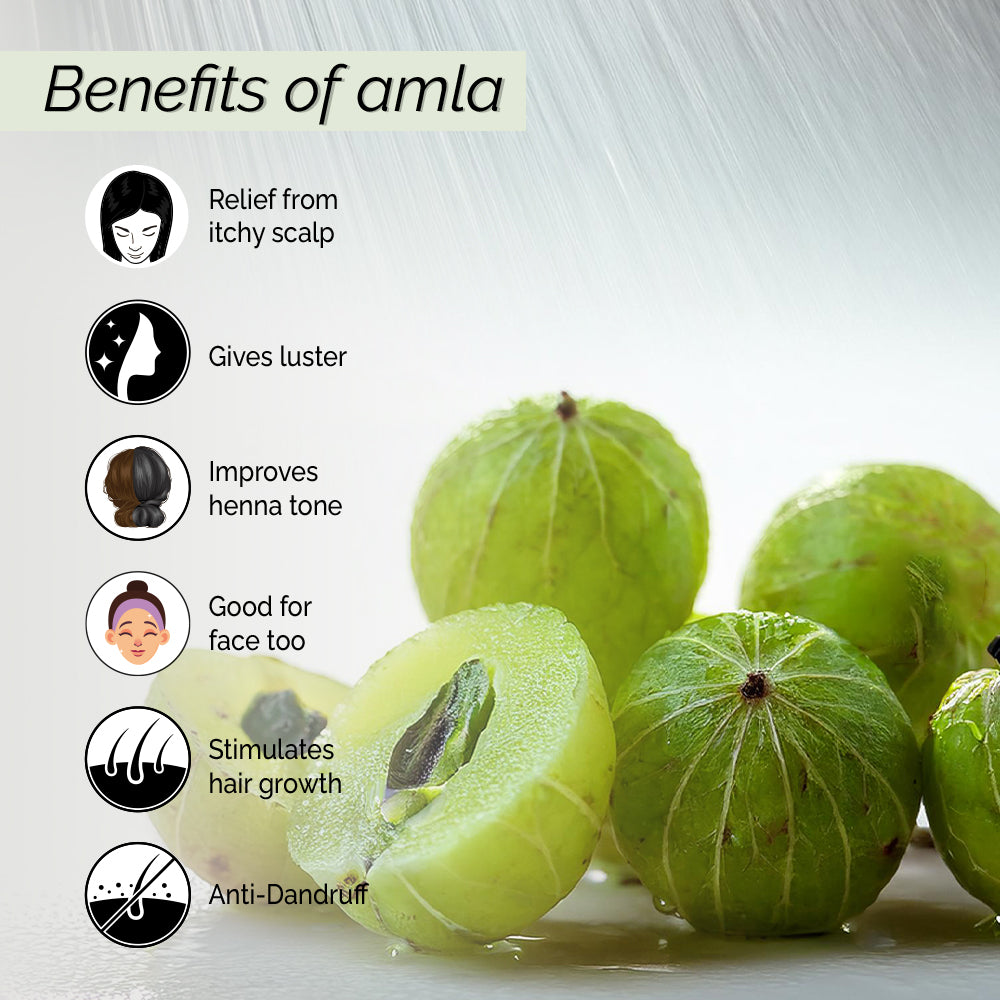 Amla Mist. Relieves Itchy Scalp and Dandruff. Non-greasy. No alcohol or preservatives added.