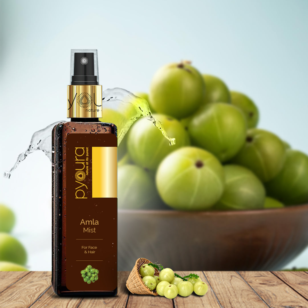 Skin Brightening Amla Face Mist <h4> For Anti-aging<h4> <h6> Alcohol Free, 100% natural, easy-to-use mist Amla toner<h6>