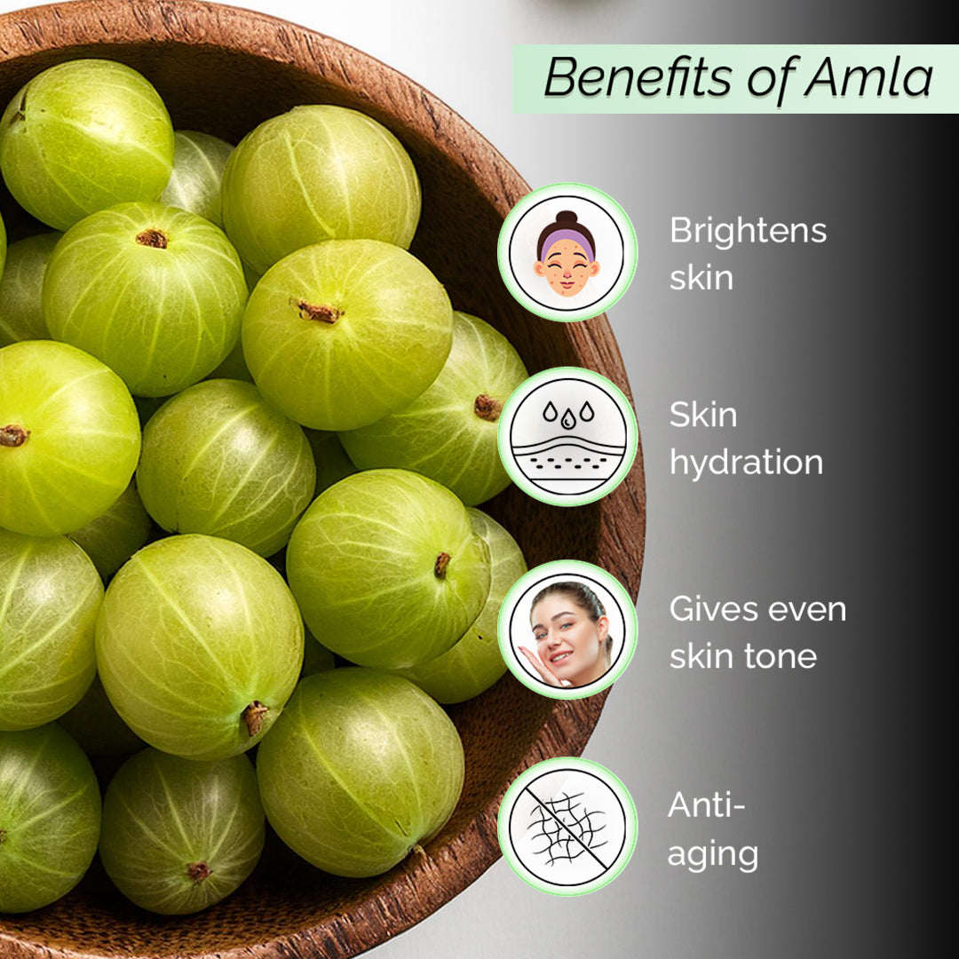 Skin Brightening Amla Face Mist <h4> For Anti-aging<h4> <h6> Alcohol Free, 100% natural, easy-to-use mist Amla toner<h6>