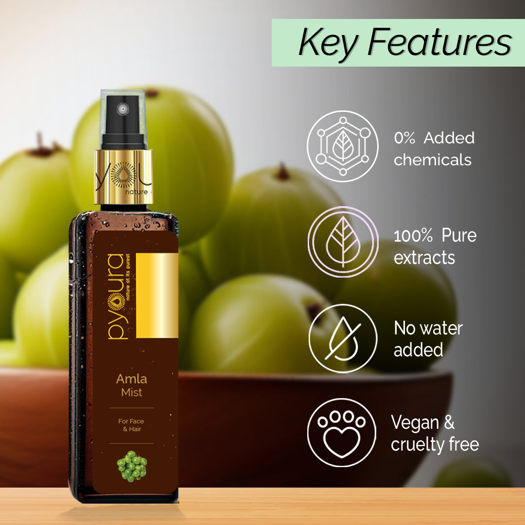 Skin Brightening Amla Face Mist <h4> For Anti-aging<h4> <h6> Alcohol Free, 100% natural, easy-to-use mist Amla toner<h6>