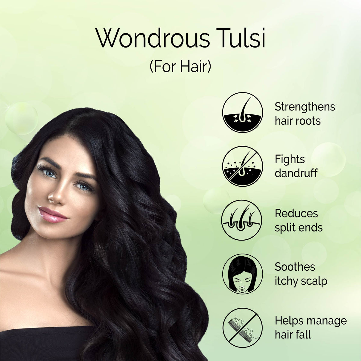 Tulsi Powder <h4> For a youthful skin and healthy hair <h4><h6>Made from hygienically dried fresh tulsi leaves while preserving their hair & skin caring actives without sun drying or adding chemicals.<h6>