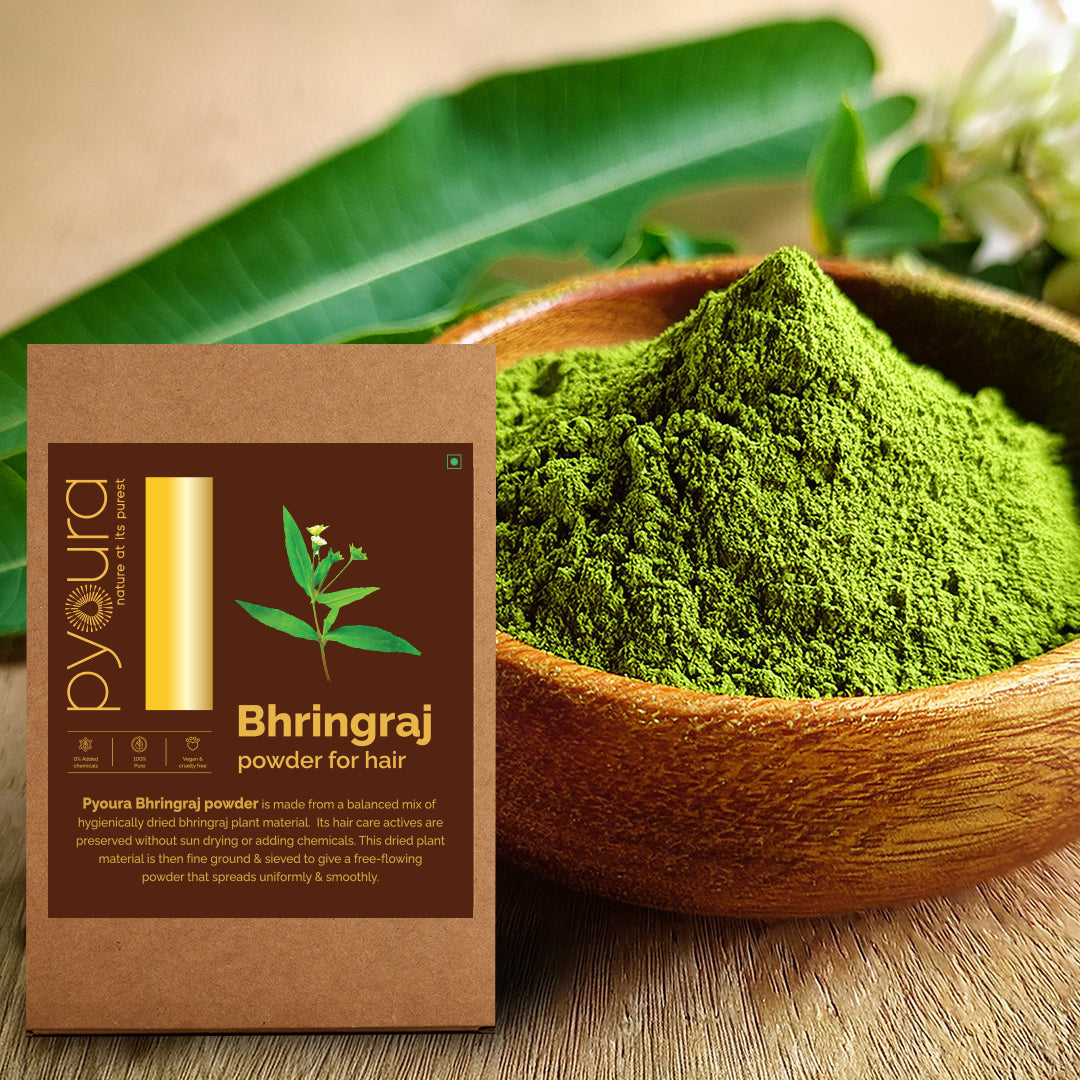 Bhringraj Powder <h4>100% Pure | Hygienically dried | For healthy scalp & strong hair <h4><h6>Made from hygienically dried hand-picked, cleaned bhringraj plant that while preserving their hair caring activies without sun drying or adding chemicals. <h6>