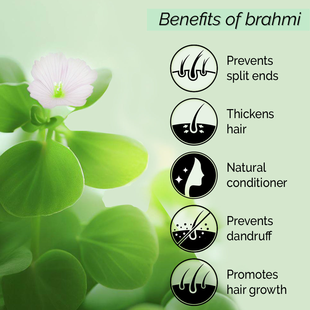 Brahmi <h4>Natural Conditioner & Hair Growth Promoter <h4> <h6> Non-greasy. No alcohol or preservatives added.<h6>