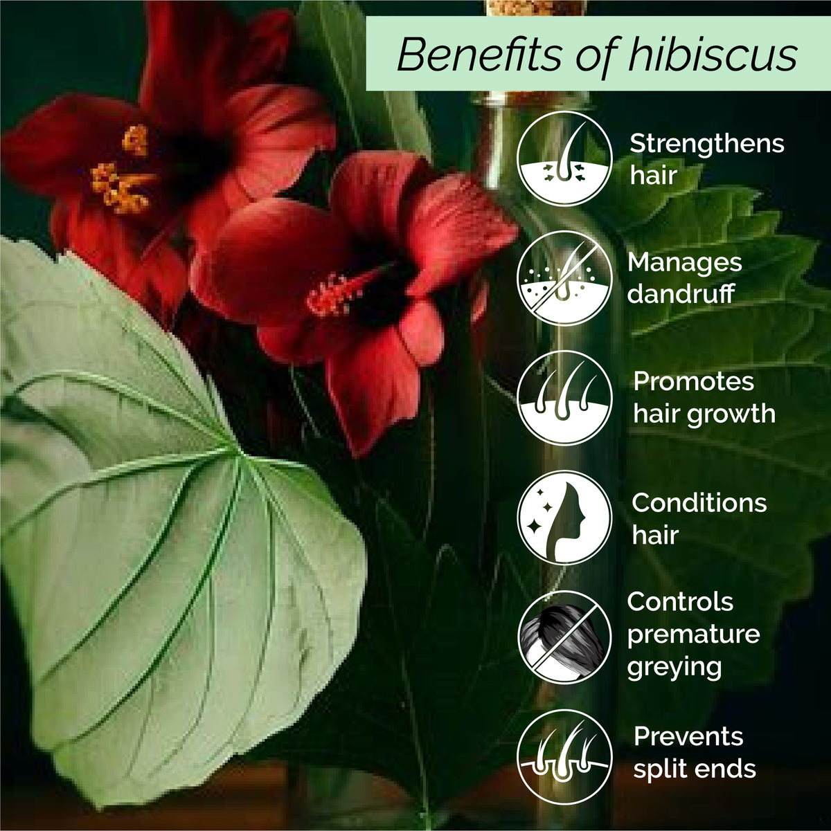 Hibiscus Mist <h4>Non-sticky Wholesome Hair Care<h4> <h6>No alcohol or preservatives added.<h6>