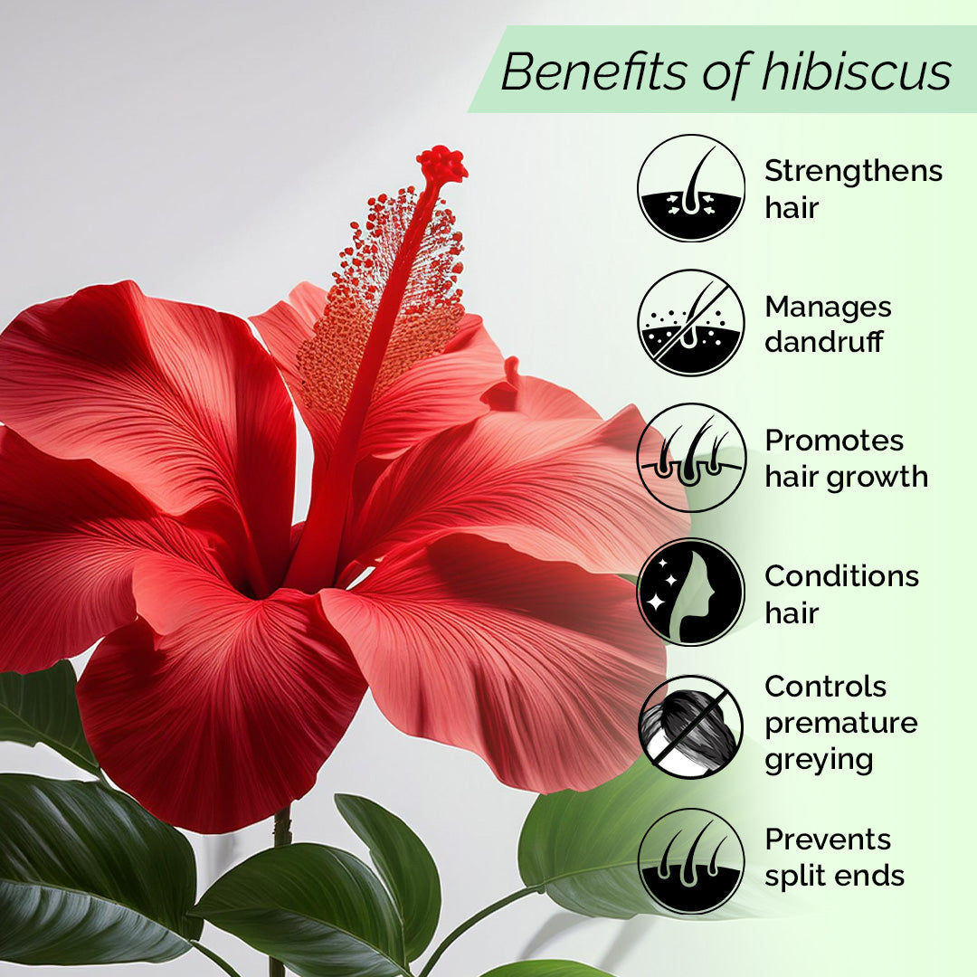 Hibiscus Mist <h4>Non-sticky Wholesome Hair Care<h4> <h6>No alcohol or preservatives added.<h6>