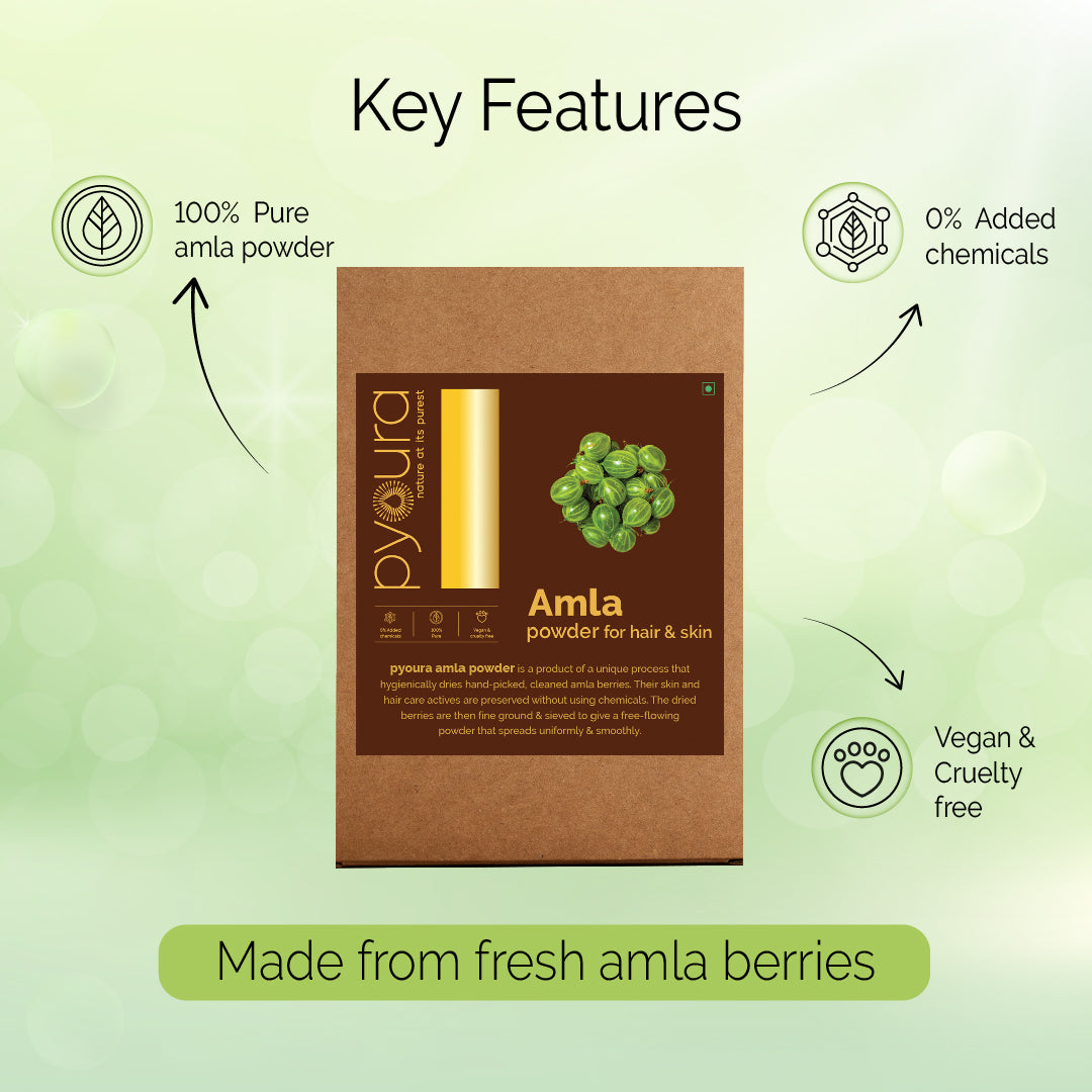Amla Powder <h4> Healthy skin and hair growth <h4><h6> Made from hygienically dried fresh amla berries while preserving their hair & skin caring activies without sun drying or adding chemicals. <h6>