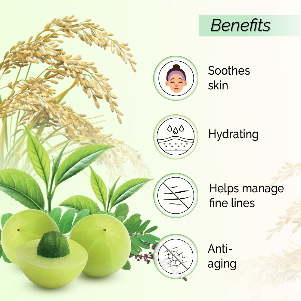 100% pure extract of Brown Rice Water Anti-Aging Toner<h4> Niacin Rich, With Tulsi, Amla & Green Tea Extracts<h4> <h6> Alcohol Free, 100% natural, easy-to-use mist spray rice toner<h6>