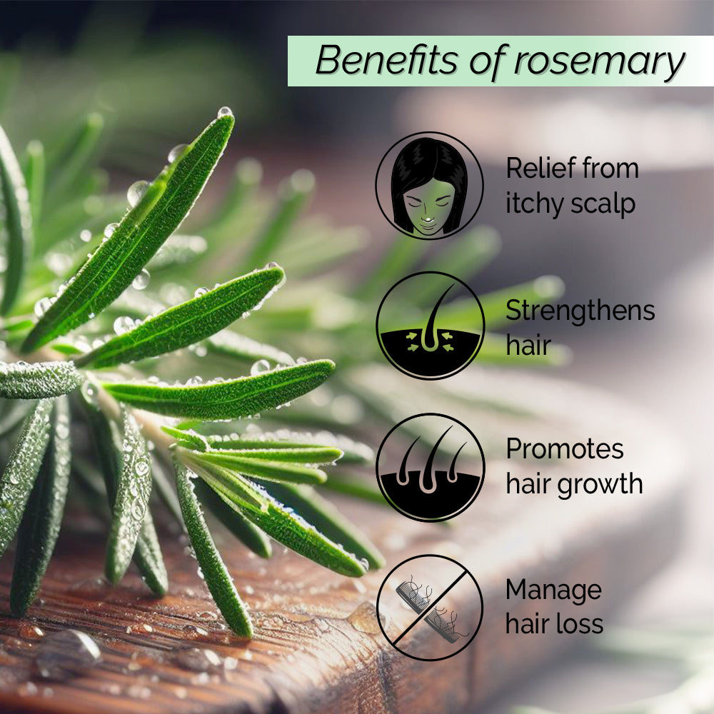 Rosemary Hair Mist <h4> For Hair Growth & Hair Fall Control <h4> <h6> 100% Pure Rosemary Leaf Extract. Non-greasy. No alcohol or preservatives added.<h6>