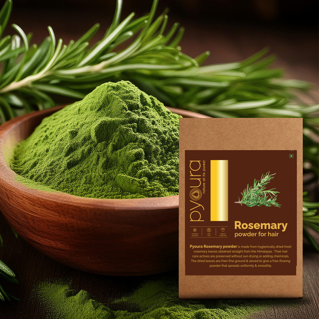 Rosemary Powder <h4>100% Pure | Hygienically dried | Hair Growth & Hair Fall Control <h4><h6>Made from hygienically dried hand-picked, cleaned Rosemary leaves that while preserving their hair caring activies without sun drying or adding chemicals. <h6>