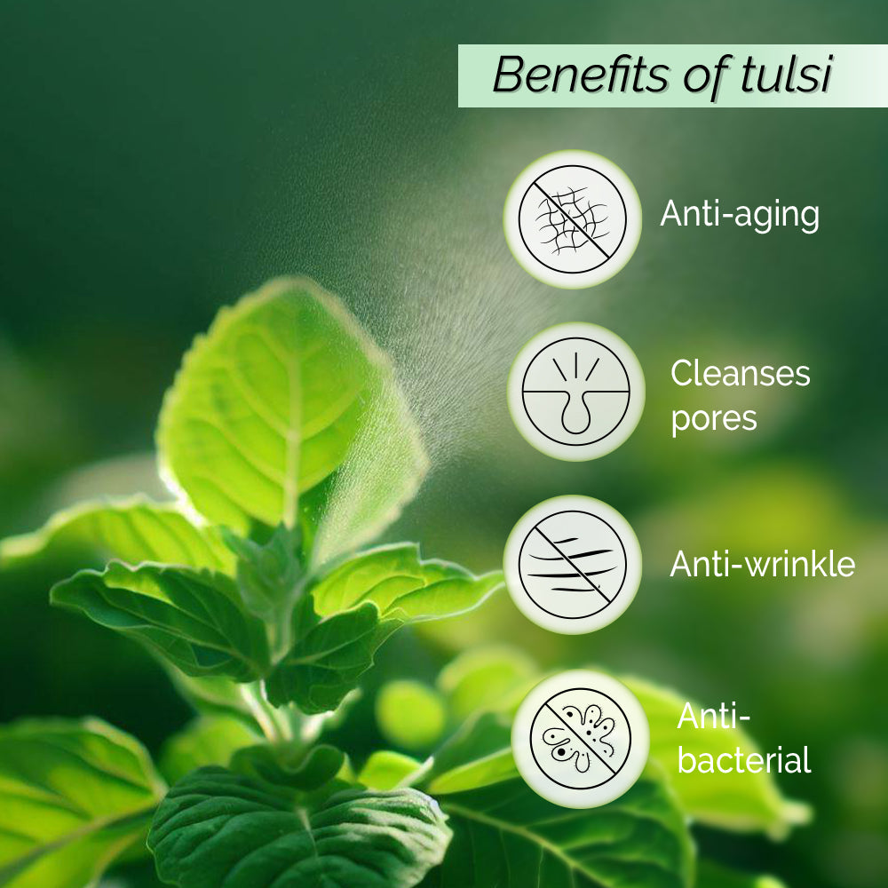 Anti Aging Toner Tulsi Face Mist. Manages Fine Lines and Wrinkles. Alcohol Free, 100% natural, easy-to-use mist spray tulsi toner.