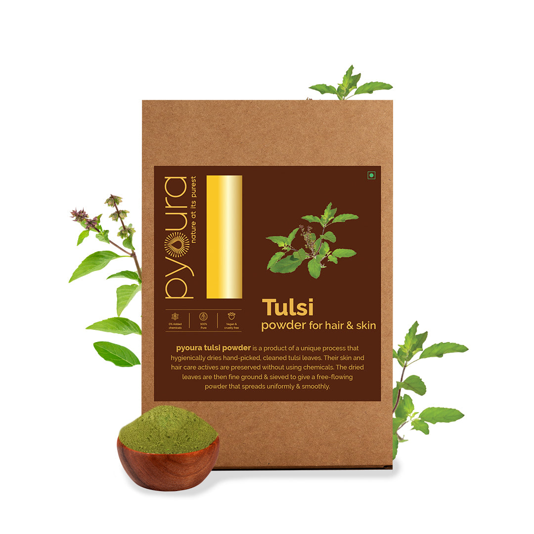 Tulsi Powder <h4> For a youthful skin and healthy hair <h4><h6>Made from hygienically dried fresh tulsi leaves while preserving their hair & skin caring actives without sun drying or adding chemicals.<h6>