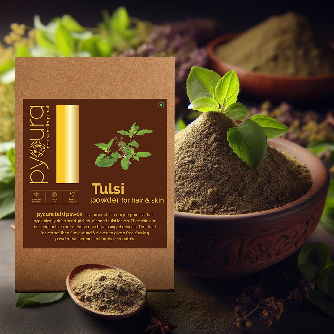 Tulsi Powder <h4> For a youthful skin and healthy hair <h4><h6>Made from hygienically dried fresh tulsi leaves while preserving their hair & skin caring actives without sun drying or adding chemicals.<h6>