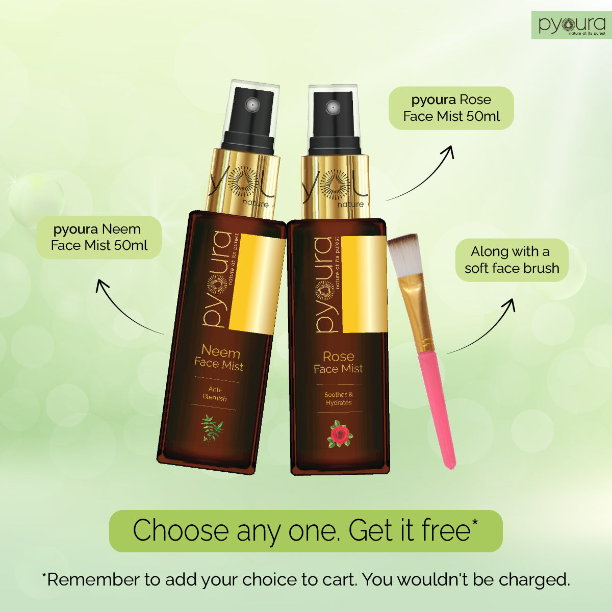 Neem Face Mask <h4>The anti-bacterial power of neem for clear skin<h4><h6> Hygienically dried to preserve the skin caring actives.  No preservatives added.<h6>