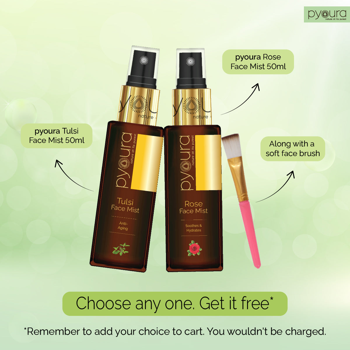 Tulsi Face Mask <h4> Harness the anti-oxidating power of tulsi for a youthful skin<h4><h6>Uniquely dried to preserve their skin caring activites.  No preservatives added.<h6>